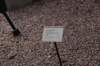 dsc_9519_fs_small.jpg