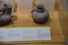 dsc_9529_fs_small.jpg