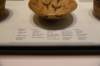 dsc_9595_fs_small.jpg