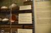 dsc_9679_fs_small.jpg
