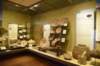 dsc_9692_fs_small.jpg