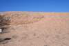 dsc_9737_fs_small.jpg