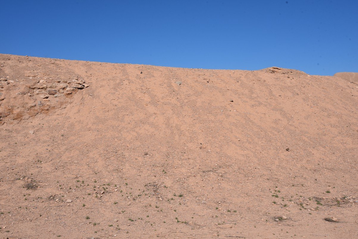 dsc_9738_fs.jpg