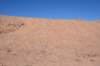 dsc_9738_fs_small.jpg