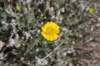 dsc_9758_fs_small.jpg