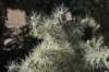 dsc_9814_fs_small.jpg