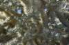 dsc_9815_fs_small.jpg