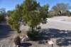 dsc_9823_fs_small.jpg
