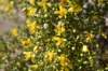 dsc_9825_fs_small.jpg