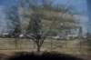 dsc_2613_fs_small.jpg