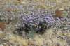 dsc_2976_fs_small.jpg