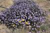 dsc_2980_fs_small.jpg