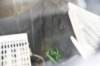 dsc_3091_fs_small.jpg
