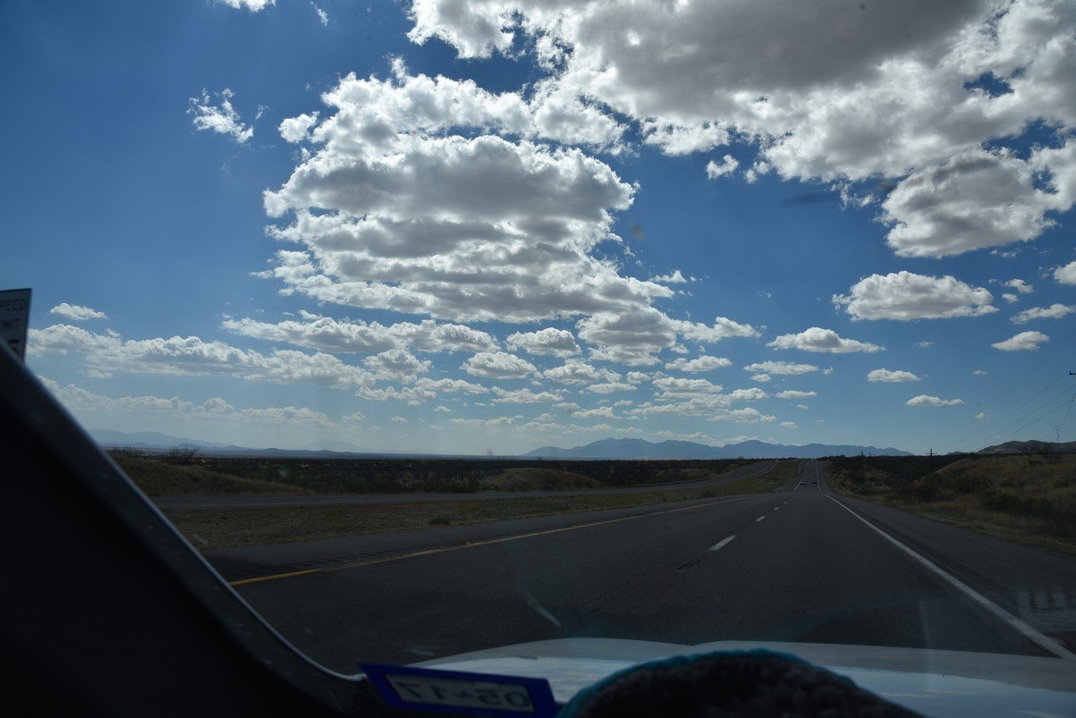 dsc_3140_fs.jpg