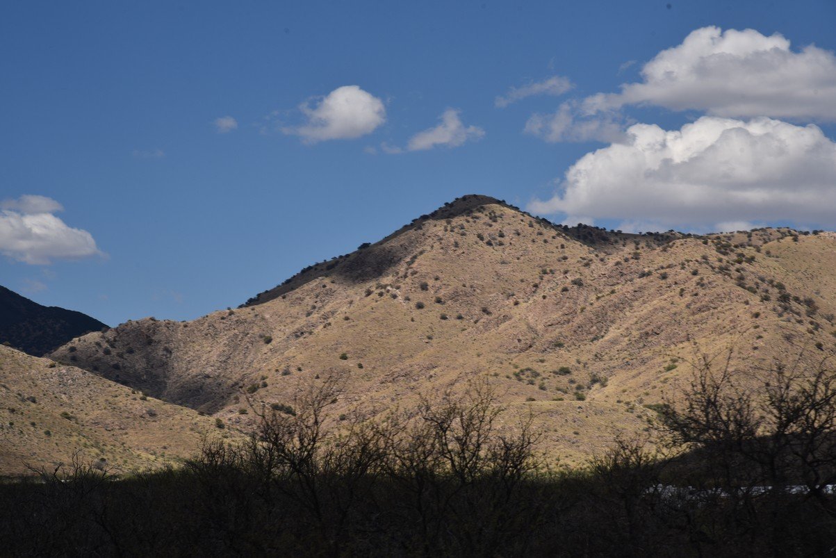 dsc_3146_fs.jpg