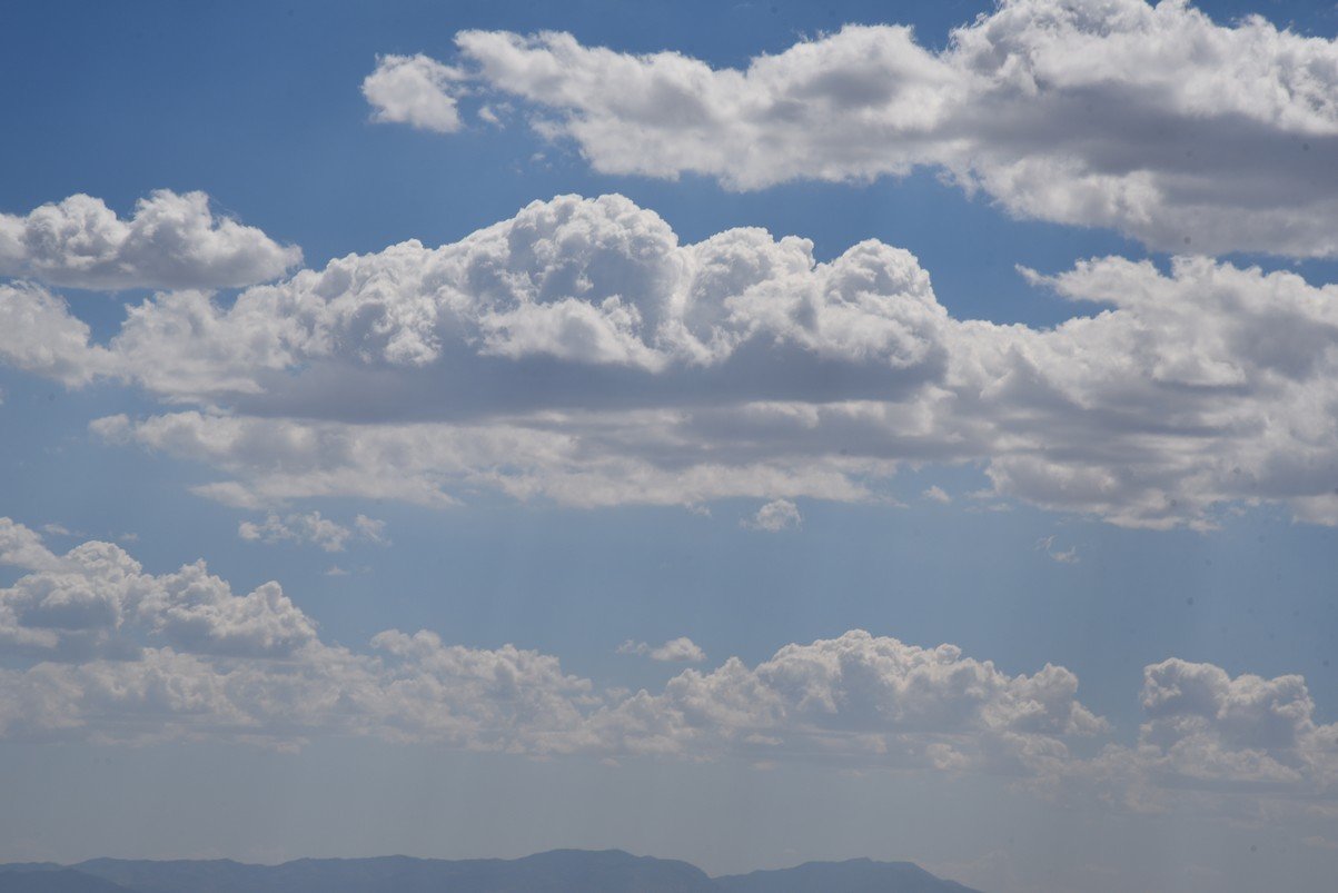 dsc_3147_fs.jpg