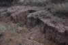 dsc_3174_fs_small.jpg