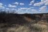 dsc_3190_fs_small.jpg
