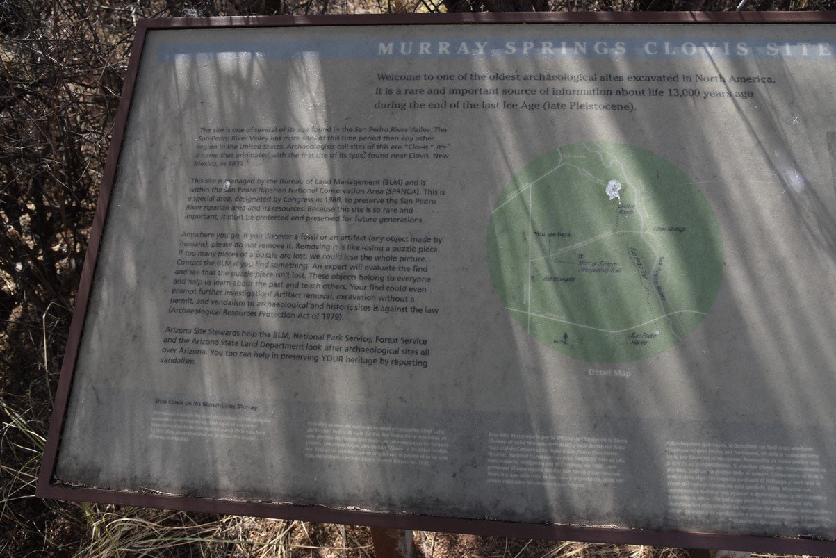 dsc_3213_fs.jpg