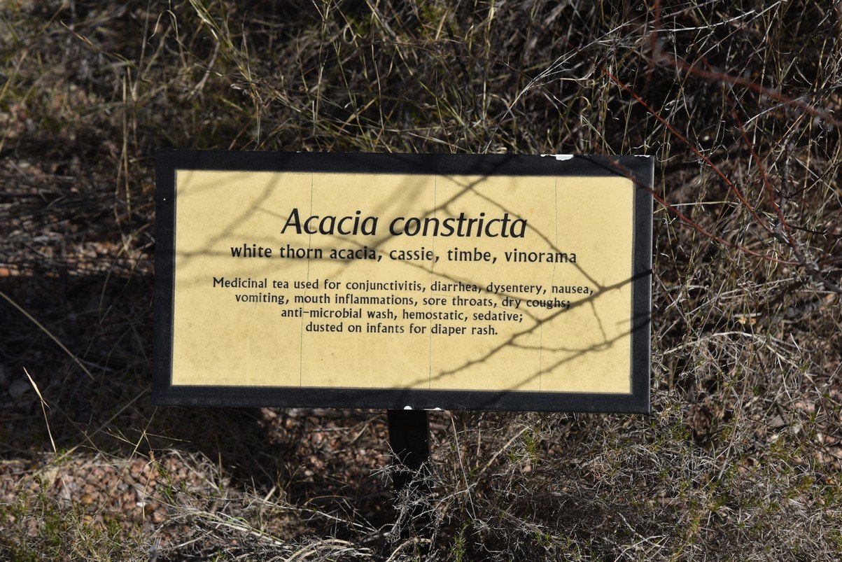 dsc_3243_fs.jpg
