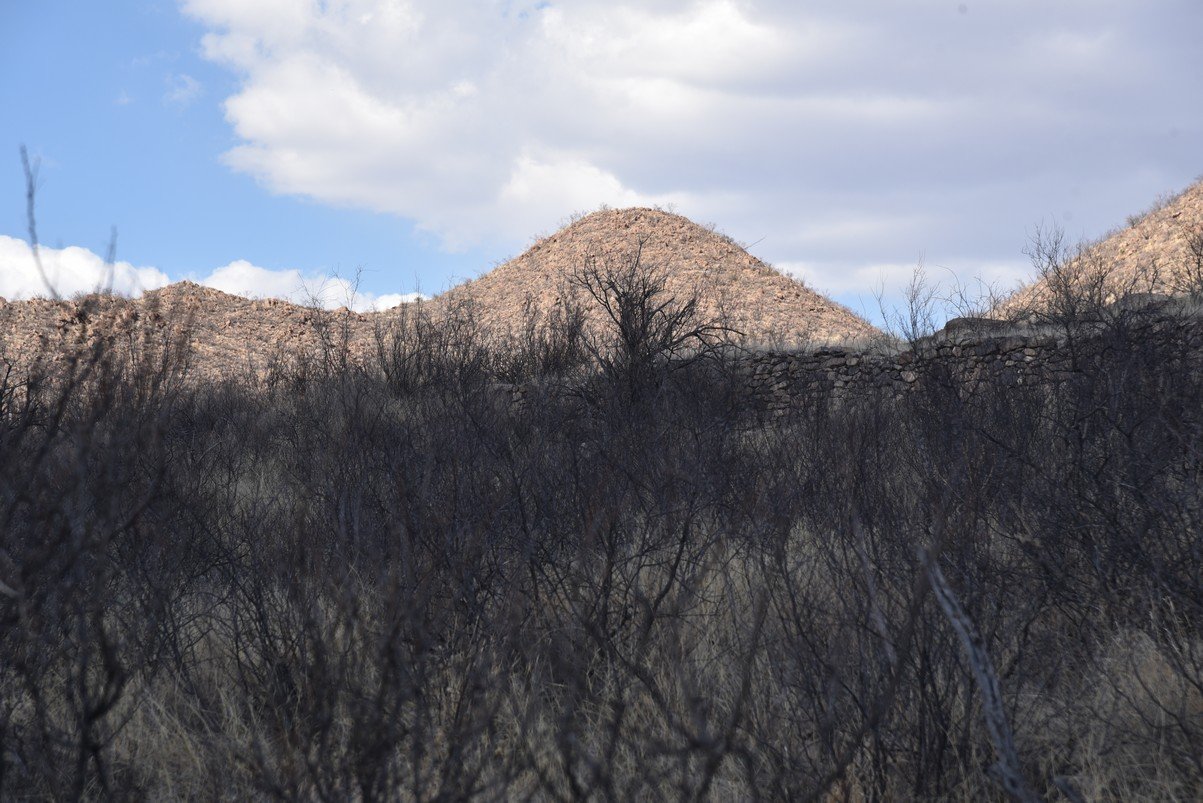 dsc_3316_fs.jpg