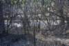 dsc_3350_fs_small.jpg