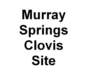 murrayspringsclovissite_small.jpg