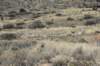 dsc_3693_fs_small.jpg
