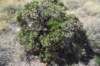 dsc_3712_fs_small.jpg