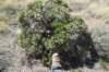 dsc_3713_fs_small.jpg