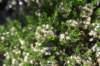 dsc_3714_fs_small.jpg