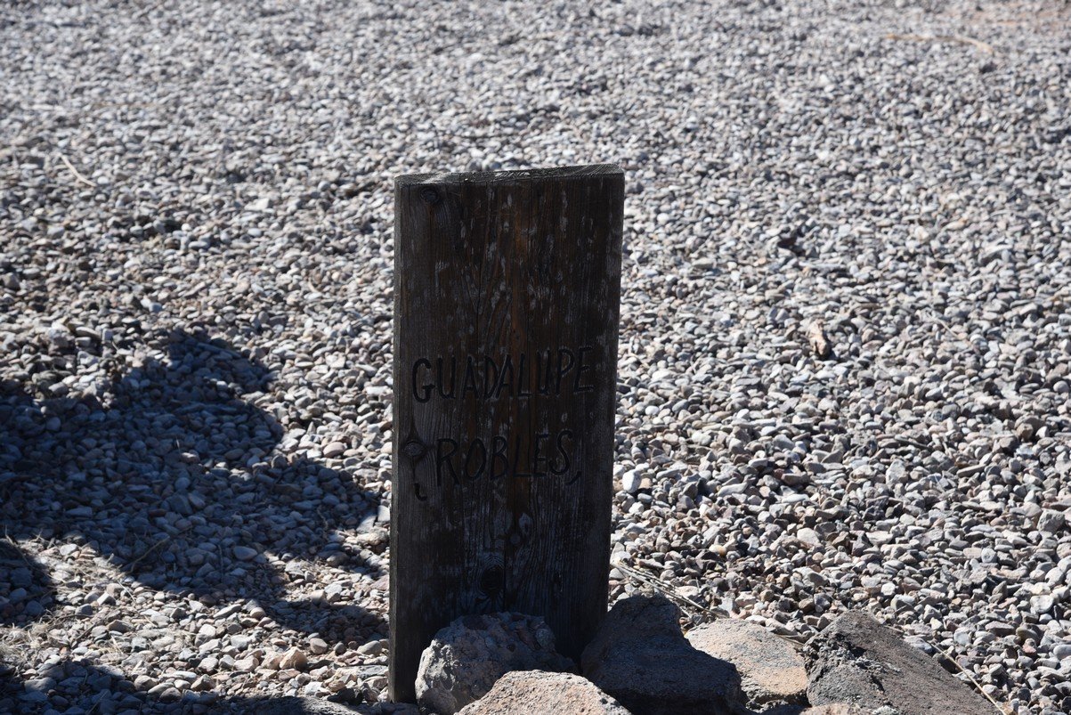 dsc_3878_fs.jpg