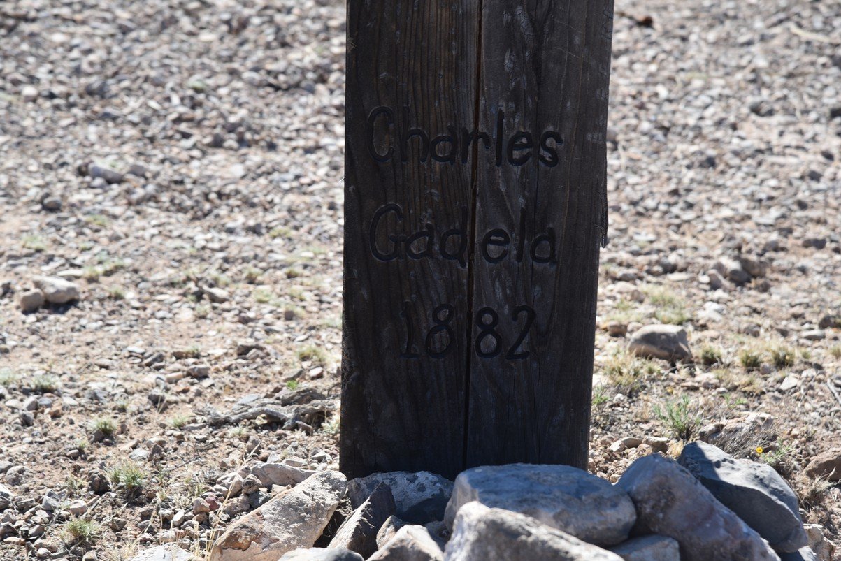 dsc_3902_fs.jpg