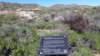 _141659_fs_small.jpg