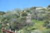 dsc_0036_fs_small.jpg