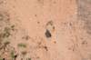 dsc_9909_fs_small.jpg