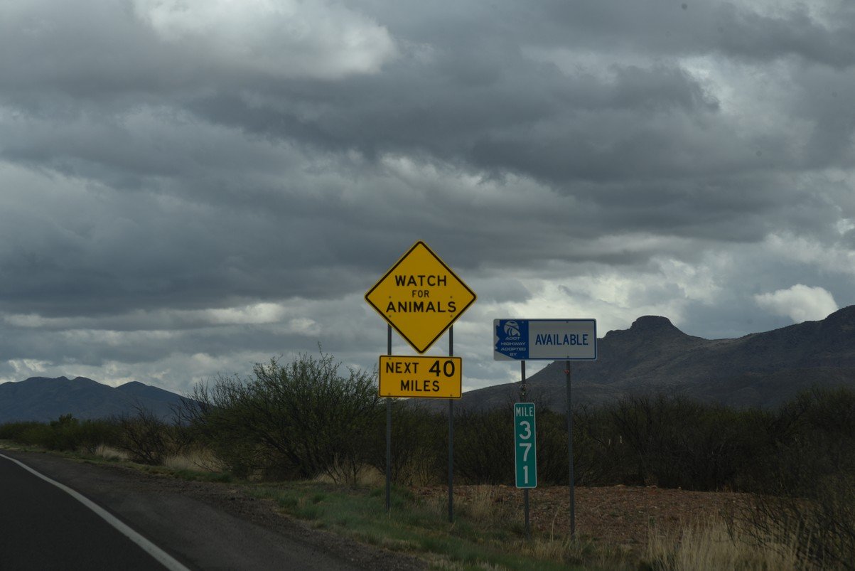 dsc_4352lastofdouglas.jpg