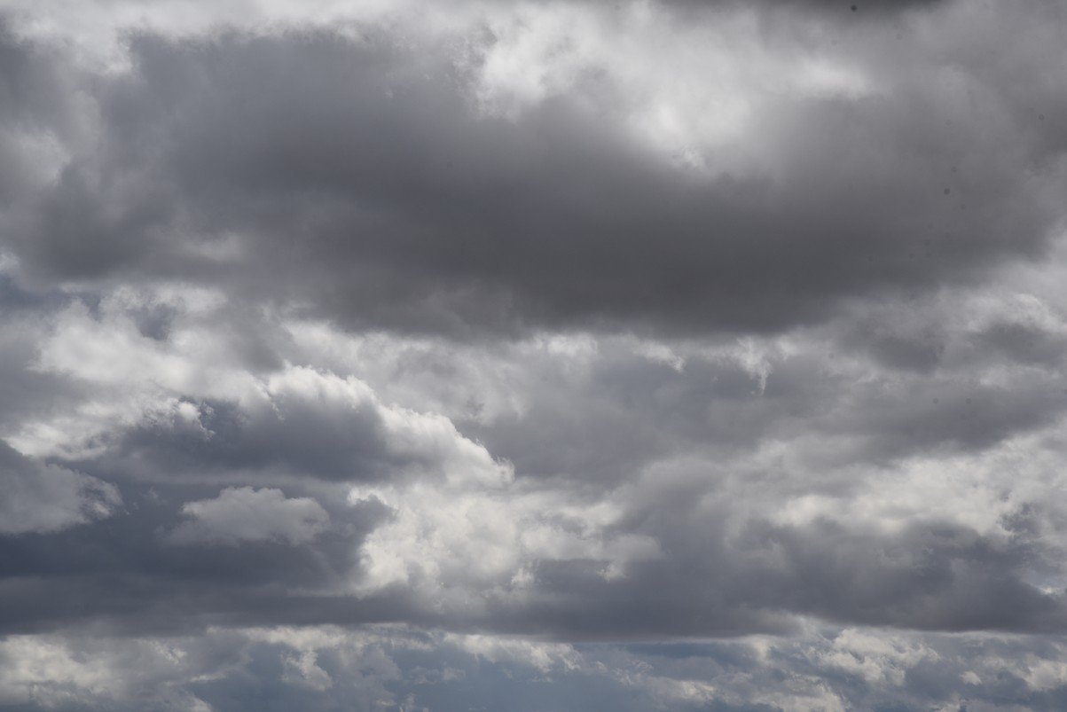 dsc_4376_fs.jpg