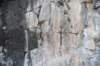 dsc_4564_fs_small.jpg