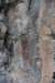 dsc_4567_fs_small.jpg
