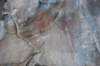 dsc_4570_fs_small.jpg