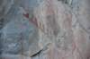 dsc_4576_fs_small.jpg