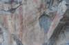dsc_4579_fs_small.jpg