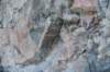 dsc_4585_fs_small.jpg