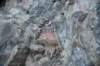 dsc_4586_fs_small.jpg