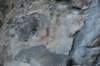 dsc_4589_fs_small.jpg