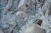 dsc_4590_fs_small.jpg