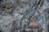 dsc_4592_fs_small.jpg