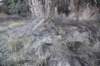 dsc_4594_fs_small.jpg