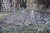 dsc_4596_fs_small.jpg